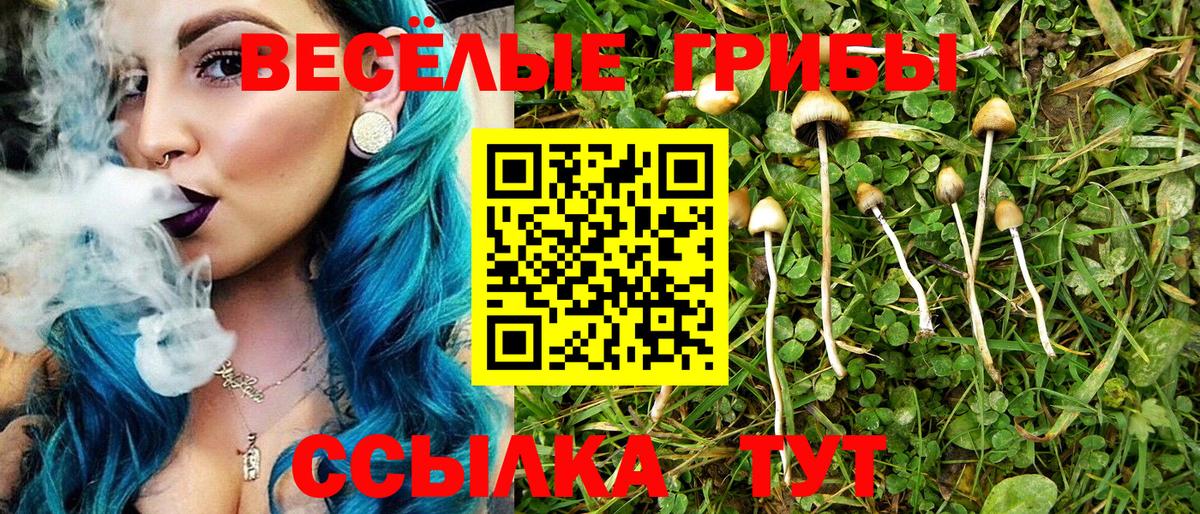 Галлюциногенные грибы мухоморы Карпинск