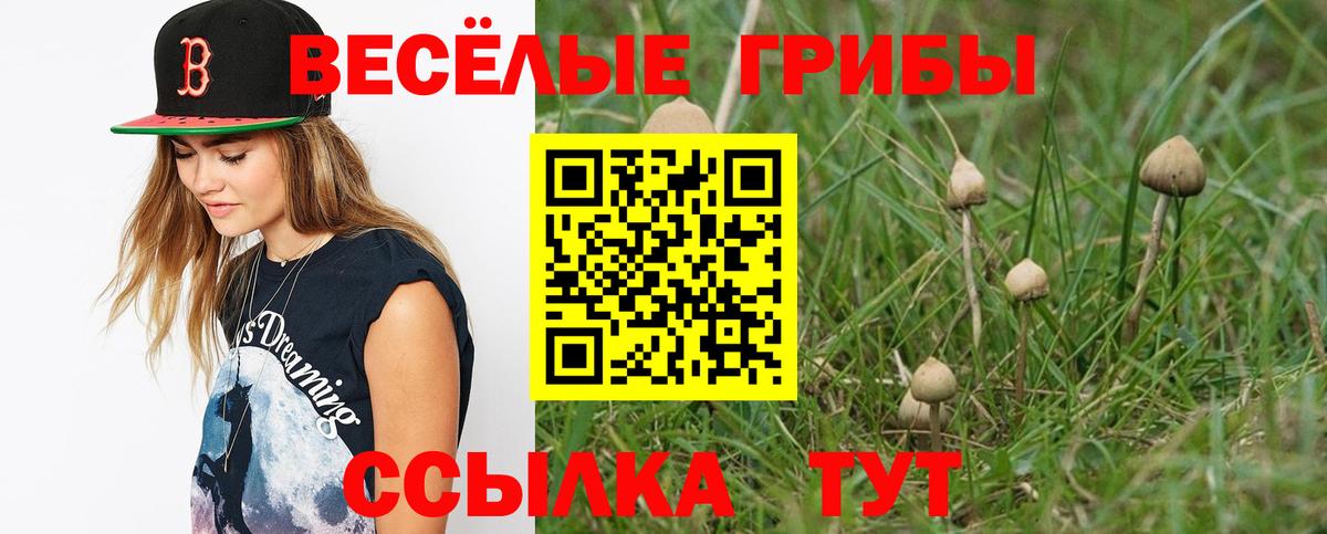 Псилоцибиновые грибы Psilocybe  Вход с VPN  Карпинск 